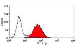 DEC-205/CD205 Antibody (HD30) - BSA Free, Novus Biologicals 0.1mg; Unlabeled:Antibodies,